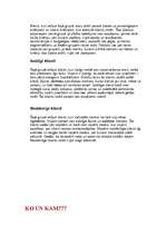 Referāts 'Ziedu veikala tirgus segmentēšana', 2.