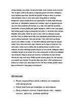 Referāts 'Ziedu veikala tirgus segmentēšana', 12.