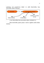 Referāts 'Zīmolvedības veidi un metodes uzņēmumā AS "Dzintars"', 6.
