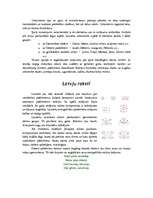 Referāts 'Ornamenti un raksti latviešu kultūrā', 2.