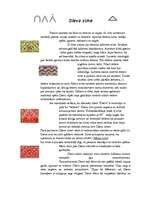 Referāts 'Ornamenti un raksti latviešu kultūrā', 10.