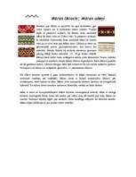 Referāts 'Ornamenti un raksti latviešu kultūrā', 20.