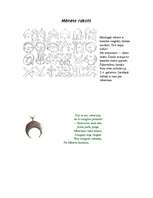 Referāts 'Ornamenti un raksti latviešu kultūrā', 22.