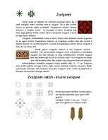 Referāts 'Ornamenti un raksti latviešu kultūrā', 30.