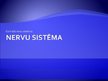 Prezentācija 'Centrālā nervu sistēma', 1.
