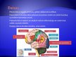 Prezentācija 'Centrālā nervu sistēma', 5.