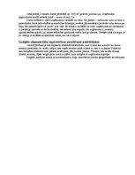 Prakses atskaite 'Zāģmateriālu ražošana', 5.