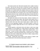 Referāts 'Basketbols - fizisko īpašību attīstošs sporta veids', 22.