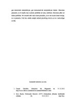 Referāts 'Zīmes jēdziens, zīmju veidi. Zīme dažādās komunikatīvās sistēmās', 6.