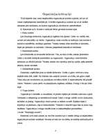 Referāts 'Organizācijas kultūras jēdziens un tā būtība', 3.