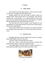 Referāts 'Modes vēsture un attīstība', 7.