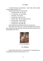 Referāts 'Modes vēsture un attīstība', 10.