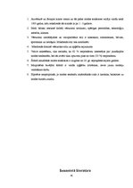 Referāts 'Modes vēsture un attīstība', 30.