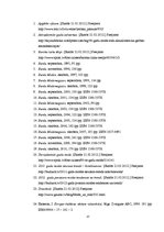 Referāts 'Modes vēsture un attīstība', 31.