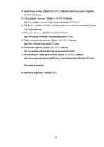 Referāts 'Modes vēsture un attīstība', 33.