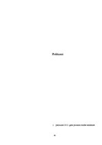 Referāts 'Modes vēsture un attīstība', 34.