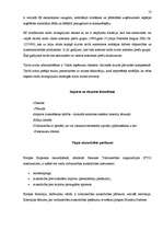 Referāts 'Latvijas ārējās tirdzniecības politika', 13.