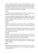 Konspekts 'Rūdolfs Blaumanis “Skroderdienas Silmačos”', 5.