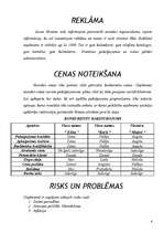 Referāts 'Biznesa plāns', 8.