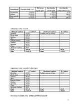 Referāts 'Biznesa plāns', 11.