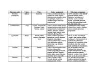 Konspekts 'Tūrisma veidu analīze', 1.