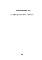 Referāts 'Riski pakalpojumu sfēras uzņēmumā', 1.