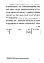 Referāts 'Riski pakalpojumu sfēras uzņēmumā', 2.