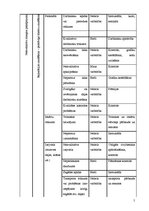 Referāts 'Riski pakalpojumu sfēras uzņēmumā', 5.