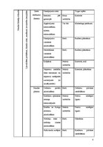 Referāts 'Riski pakalpojumu sfēras uzņēmumā', 6.