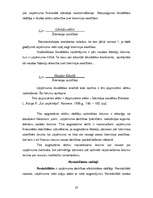 Referāts 'SIA "XXX" finanšu rādītāju analīze', 20.