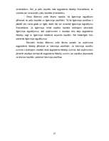 Referāts 'SIA "XXX" finanšu rādītāju analīze', 27.