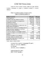 Referāts 'SIA "XXX" finanšu rādītāju analīze', 29.