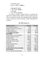 Referāts 'SIA "XXX" finanšu rādītāju analīze', 30.