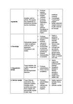 Referāts 'Preču marķējums', 30.