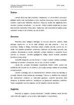 Referāts 'Latvijas biznesa kultūras analīze', 6.