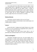 Referāts 'Latvijas biznesa kultūras analīze', 7.