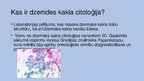 Prezentācija 'Ginekoloģiskā materiāla citoloģiskā izmeklēšana', 2.