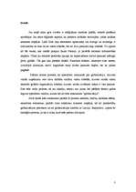 Referāts 'Globalizācija', 3.