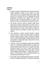 Referāts 'Globalizācija', 4.