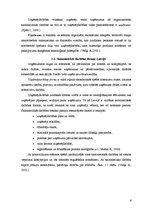 Referāts 'Uzņēmējdarbības attīstības perspektīvas Viļakas novadā', 6.