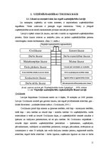 Referāts 'Uzņēmējdarbības attīstības perspektīvas Viļakas novadā', 11.