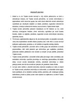 Referāts 'Uzņēmējdarbības attīstības perspektīvas Viļakas novadā', 26.