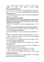 Referāts 'Uzņēmējdarbības attīstības perspektīvas Viļakas novadā', 28.