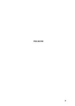 Referāts 'Uzņēmējdarbības attīstības perspektīvas Viļakas novadā', 29.