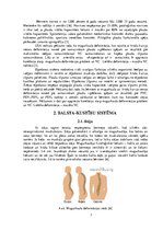 Referāts 'Sakarības starp stājas traucējumiem un elpošanas sistēmas  darbību', 7.