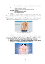 Referāts 'Sakarības starp stājas traucējumiem un elpošanas sistēmas  darbību', 12.