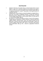 Referāts 'Sakarības starp stājas traucējumiem un elpošanas sistēmas  darbību', 17.