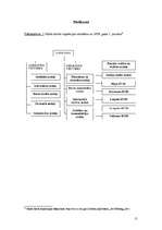 Prakses atskaite 'Prakse Valsts darba inspekcijā', 11.