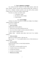 Referāts 'Cenu politika, tās īstenošana', 7.