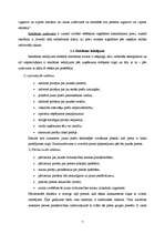 Referāts 'Reklāmas priekšrocības un trūkumi', 6.